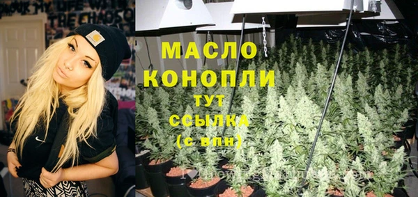 крисы Богородицк