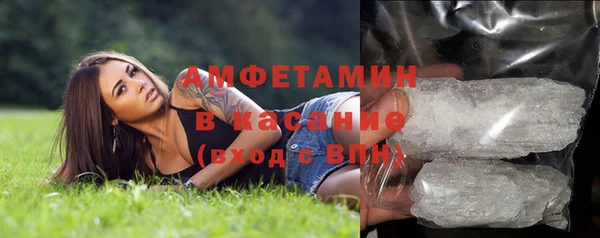 крисы Богородицк