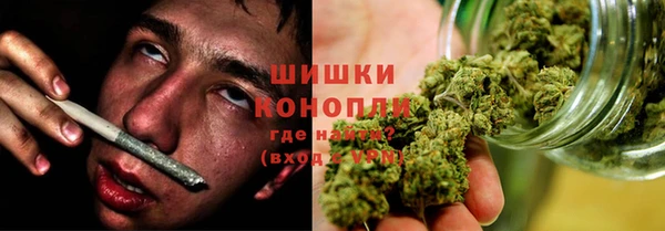 крисы Богородицк