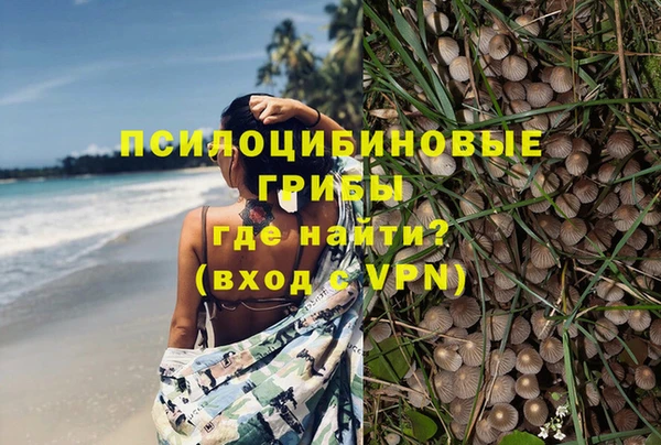 ALPHA-PVP Богданович