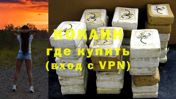 крисы Богородицк