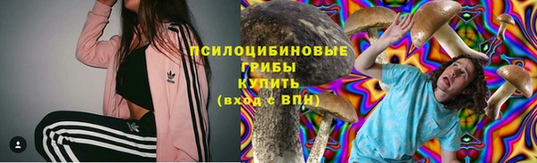 крисы Богородицк