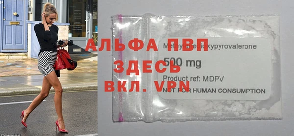 крисы Богородицк